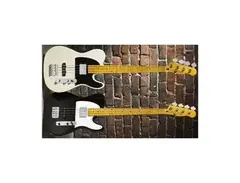 Squier Telecaster Bass main image