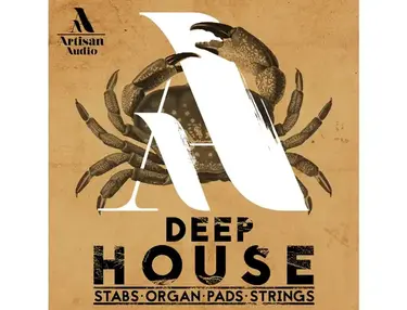 Artisan Audio Deep House: Stabs Organ Pads & Strings