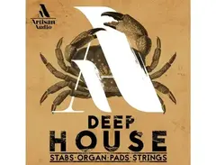 Artisan Audio Deep House: Stabs Organ Pads & Strings main image