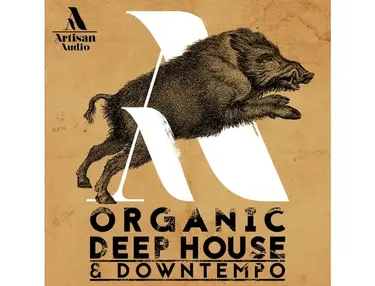 Artisan Audio Organic Deep House & Downtempo