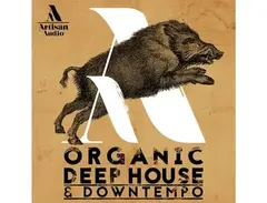 Artisan Audio Organic Deep House & Downtempo main image