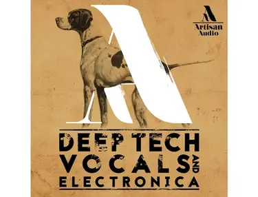 Artisan Audio Deep Tech Vocals & Electronica