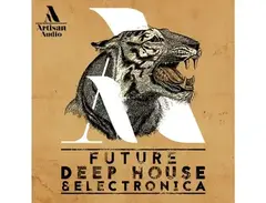 Artisan Audio Future Deep House & Electronica main image