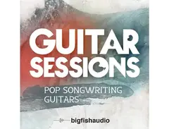 Big Fish Audio Guitar Sessions - Pop Songwriting Guitars main image