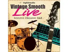 Big Fish Audio Vintage Smooth Live main image