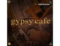 Big Fish Audio Gypsy Cafe main image