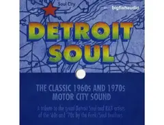 Big Fish Audio Detroit Soul main image