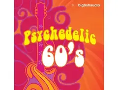 Big Fish Audio Psychadelic 60s main image