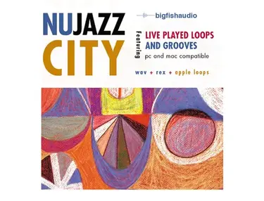Big Fish Audio Nu Jazz City