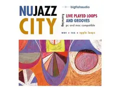 Big Fish Audio Nu Jazz City main image