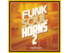 Big Fish Audio Funk Soul Horns 2 main image