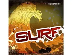 Big Fish Audio Surf main image