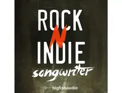 Big Fish Audio Rock N Indie Songwriter main image