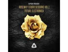 CapSun ProAudio Roseway Studio Sessions Vol.1 - Future Electronica main image