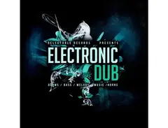 Delectable Records Electronic Dub main image