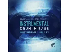 Delectable Records Instrumental Drum & Bass main image
