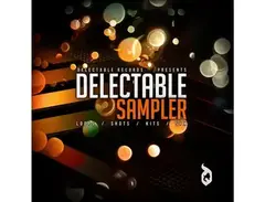 Delectable Records Label Sampler 3 main image