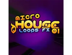 Delectable Records Micro House 01 main image