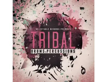 Delectable Records Tribal Drums & Percussion
