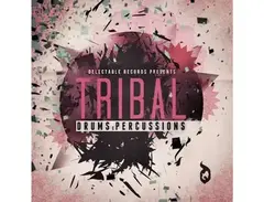 Delectable Records Tribal Drums & Percussion main image