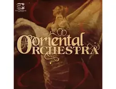 EarthMoments Oriental Orchestra main image
