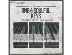 Famous Audio RnB & Soulful Keys main image