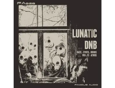 Famous Audio Lunatic DnB