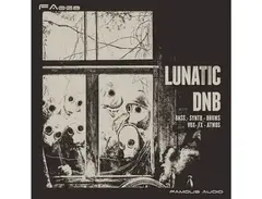 Famous Audio Lunatic DnB main image
