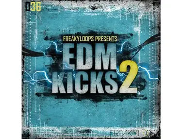 Freaky Loops EDM Kicks 2