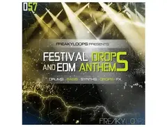 Freaky Loops Festival Drops & EDM Anthems main image