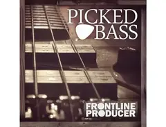 Frontline Producer Picked Bass main image