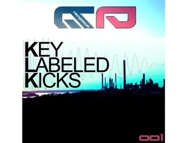 HY2ROGEN Key Labeled Kicks