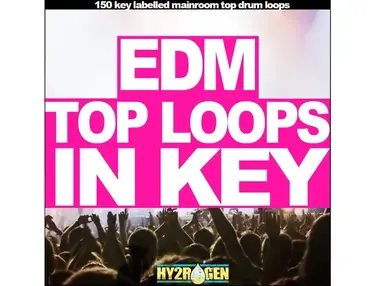 HY2ROGEN EDM Top Loops in Key