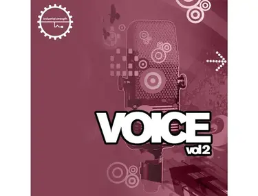 Industrial Strength Voice 2