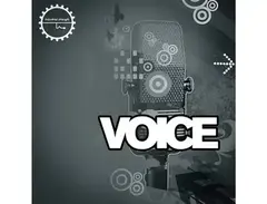 Industrial Strength Voice main image