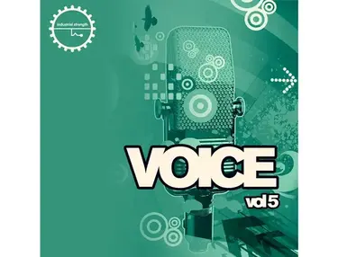 Industrial Strength Voice Vol. 5