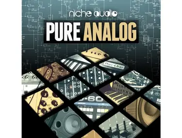 Niche Audio Pure Analog