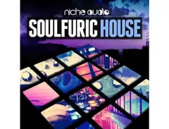 Niche Audio Soulfuric House main image