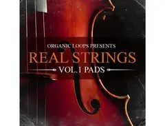 Organic Loops Real Strings main image