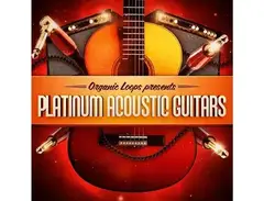 Organic Loops Platinum Acoustic Guitars main image