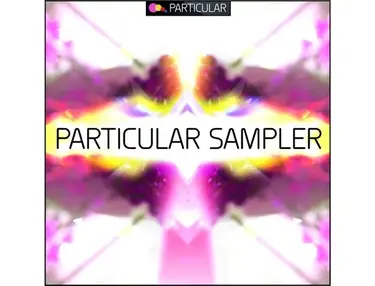 Particular Label Sampler