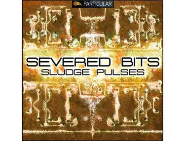 Particular Severed Bits - Sludge Pulses