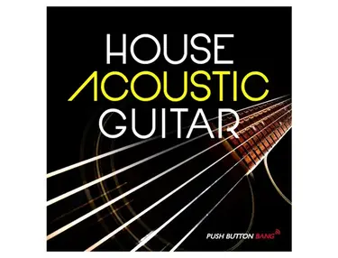 Push Button Bang House Acoustic Guitar