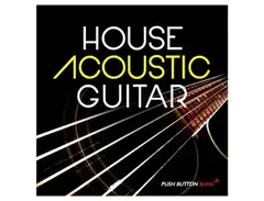 Push Button Bang House Acoustic Guitar main image