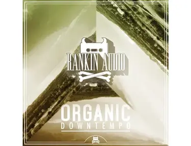 Rankin Audio Organic Downtempo