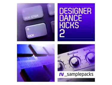 RV Samplepacks Designer Dance Kicks Vol. 2
