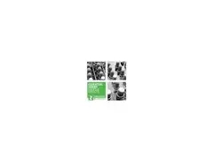 RV Samplepacks Thomas Penton Essential Series Vol2