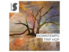 Samplephonics Downtempo Trip Hop main image