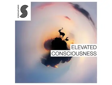 Samplephonics Elevated Consciousness