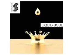 Samplephonics Liquid Soul main image